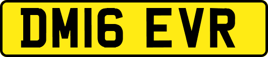 DM16EVR