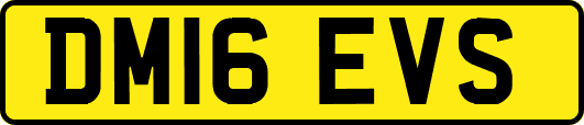 DM16EVS