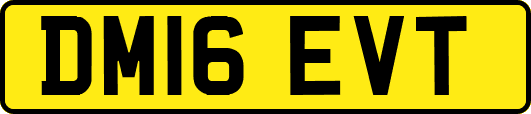 DM16EVT
