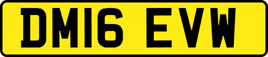 DM16EVW