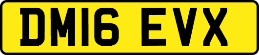 DM16EVX