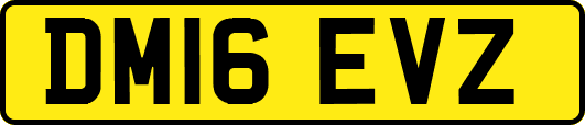 DM16EVZ