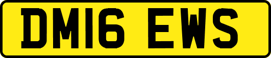 DM16EWS
