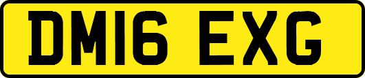 DM16EXG