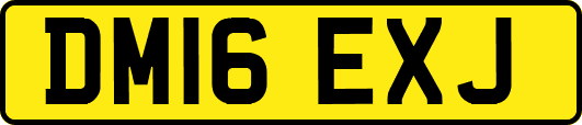 DM16EXJ