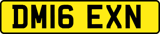 DM16EXN