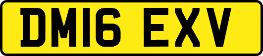 DM16EXV