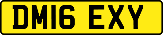 DM16EXY