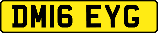DM16EYG