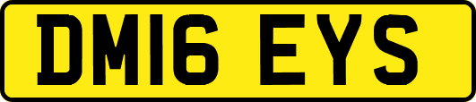 DM16EYS