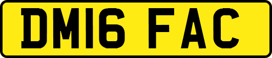 DM16FAC