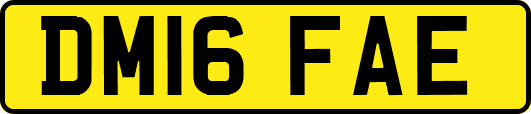 DM16FAE