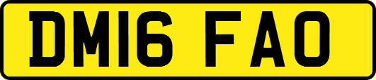 DM16FAO