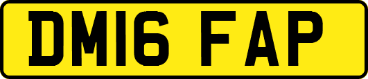 DM16FAP