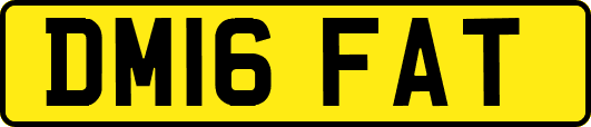 DM16FAT