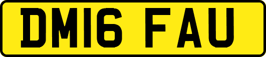 DM16FAU
