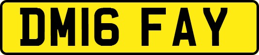 DM16FAY