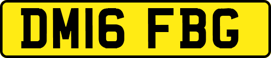 DM16FBG