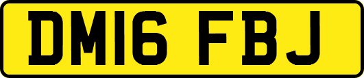 DM16FBJ