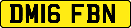DM16FBN