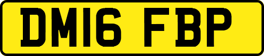 DM16FBP