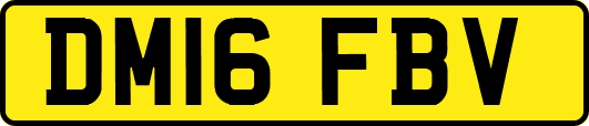 DM16FBV