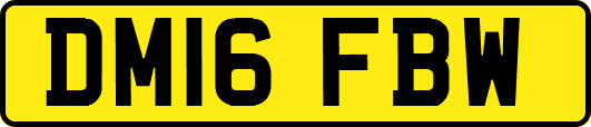 DM16FBW
