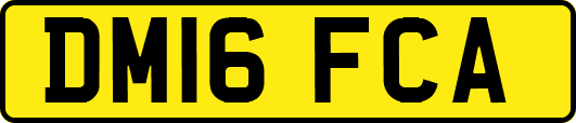 DM16FCA