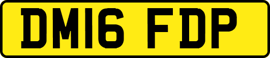 DM16FDP