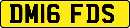 DM16FDS