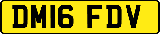 DM16FDV
