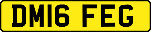 DM16FEG