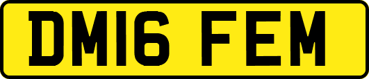 DM16FEM