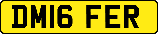 DM16FER