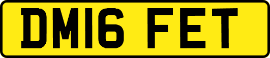 DM16FET