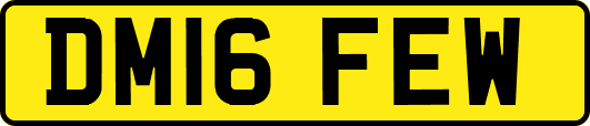 DM16FEW