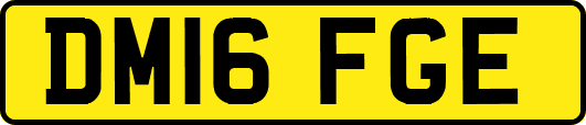 DM16FGE