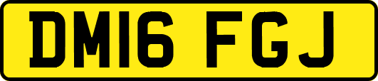 DM16FGJ