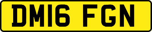 DM16FGN