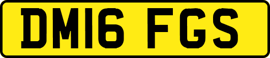 DM16FGS