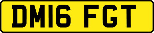 DM16FGT