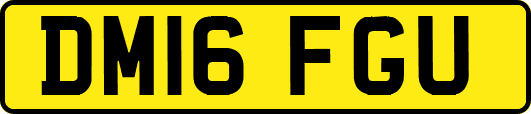 DM16FGU