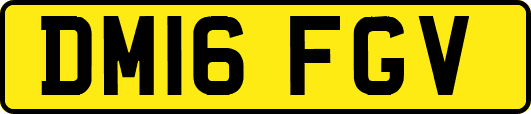 DM16FGV