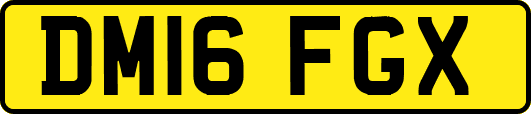 DM16FGX