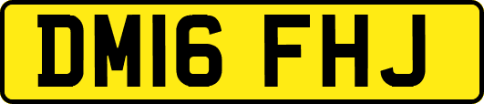 DM16FHJ