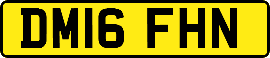 DM16FHN