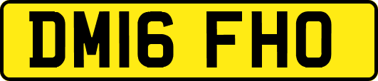 DM16FHO