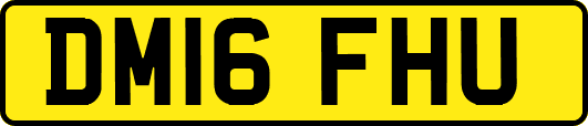 DM16FHU