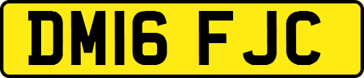 DM16FJC