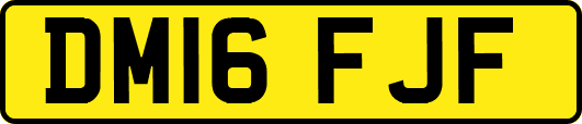 DM16FJF